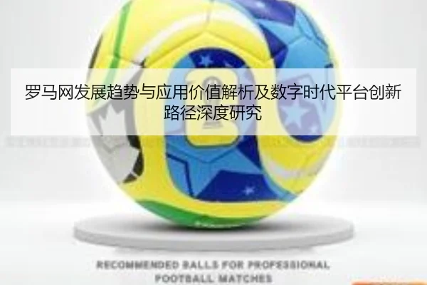 罗马网发展趋势与应用价值解析及数字时代平台创新路径深度研究